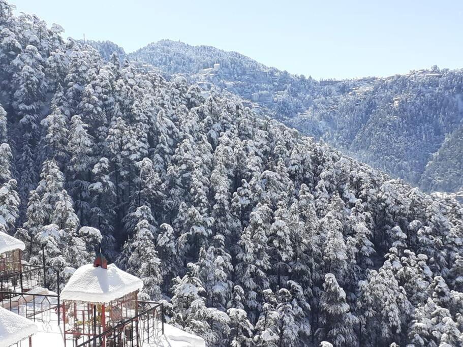 Residence Inn Homestay Shimla Bagian luar foto