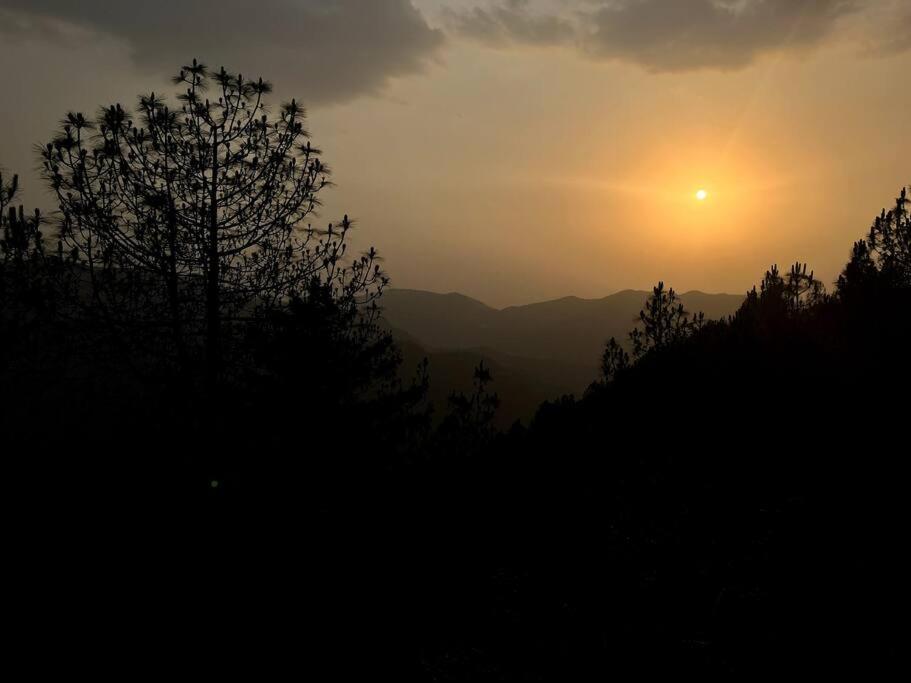 Residence Inn Homestay Shimla Bagian luar foto