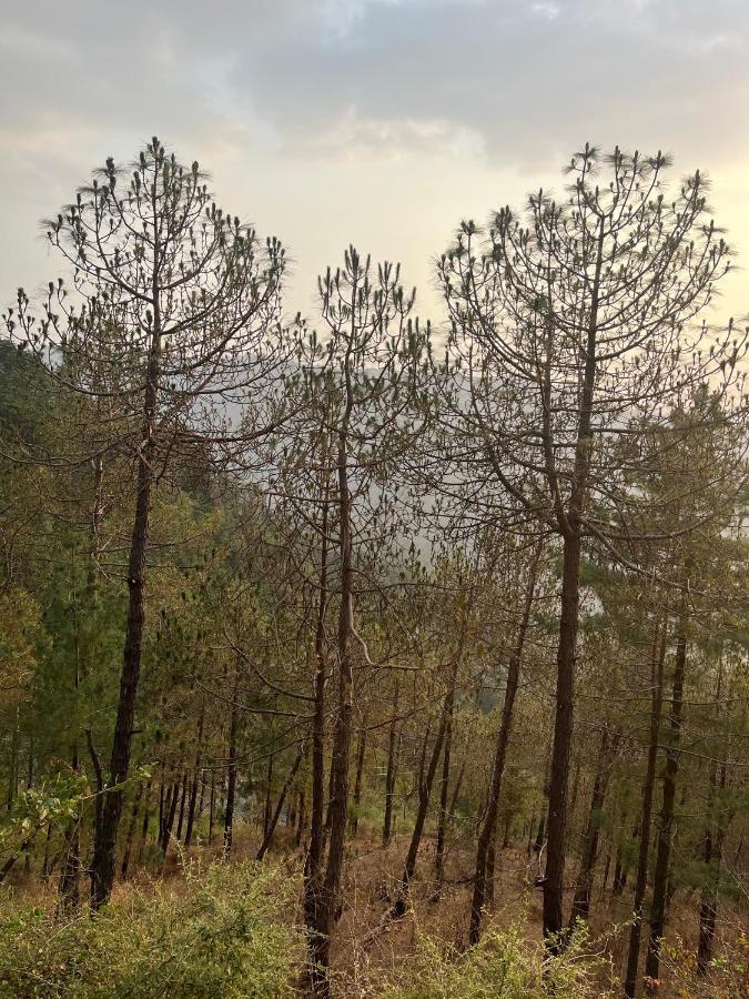 Residence Inn Homestay Shimla Bagian luar foto