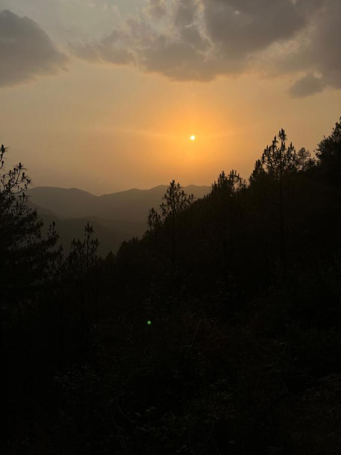 Residence Inn Homestay Shimla Bagian luar foto